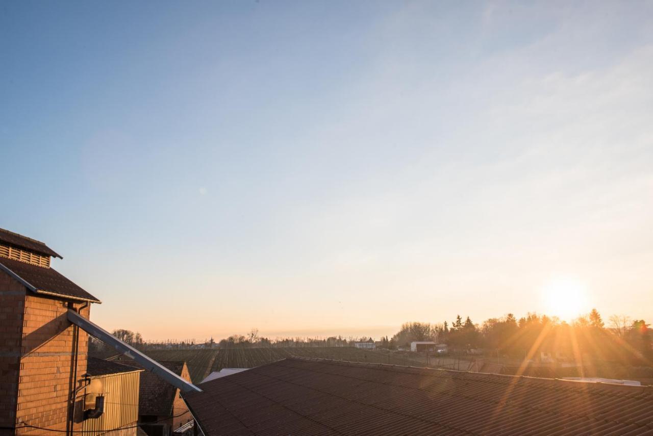 Nouveau - La Parenthese Wingersheim-les-Quatre-Bans Exteriér fotografie